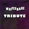 Whitesnake Tribute