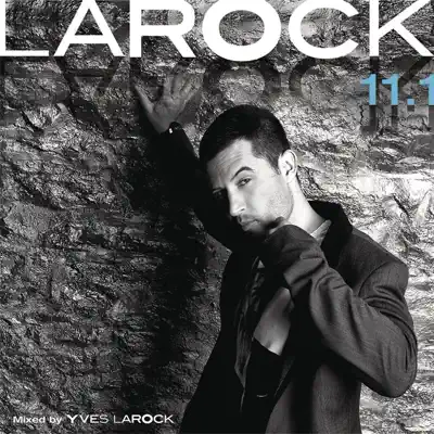 Larock 11.1 - Yves Larock