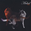 Mukul - A Brief History of Time