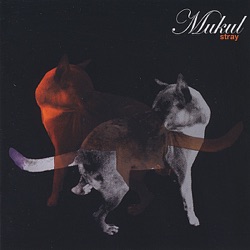 Mukul - Dumb