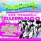 Agua De Té - Multimusic All Stars lyrics