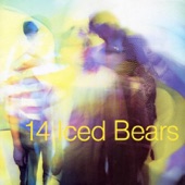 14 Iced Bears - Surfacer