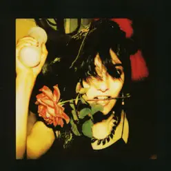 The Flowers of Romance - Public Image Ltd.