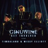 Ginuwine - Get Involved (feat. Missy Elliott & Timbaland) [Darius & Finlay Remix]