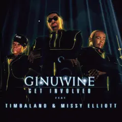 Get Involved (Remixes) [feat. Timbaland & Missy Elliott] - Ginuwine