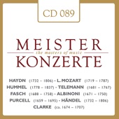 Konzert für Trompete und Orchester Es-Dur: Allegro artwork