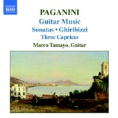 Paganini: Guitar Music artwork