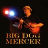 Big Dog Mercer