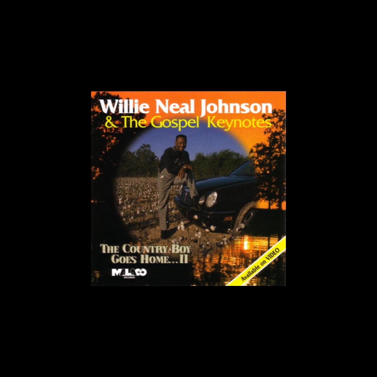 ‎The Country Boy Goes Home...II by Willie Neal Johnson & The Gospel