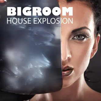 Bigroom House Explosion by Various Artists album reviews, ratings, credits