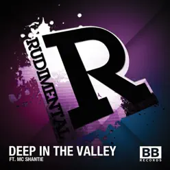 Deep in the Valley (feat. MC Shantie) - EP - Rudimental