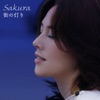 Sakura - 街の灯り