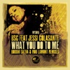 Bsc - What You Do to Me (Rob Lamont Remix)