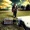Johnnie Bassett - Nice Guys Finish Last