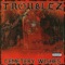 Toast (Feat. Fatalist, No Remorse & Young Tank) - Troublez lyrics