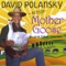 Ants Go Marching - David Polansky lyrics