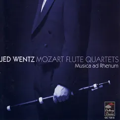 Flute Quartet in C Major, K. 285b for Traverso, Violin, Viola and Cello: II. Andantino - Adagio - Allegro Song Lyrics