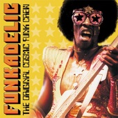 Funkadelic - One Nation Under a Groove