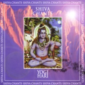 Shiva Chants artwork