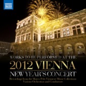 New Year in Vienna - Viennese Light Music to be performed at the 2012 New Year's Concert artwork