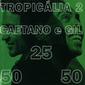 Tropicália 2 artwork