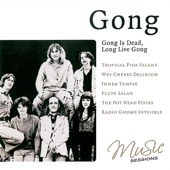 Gong Is Dead, Long Live Gong artwork