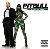 Pitbull Starring In: Rebelution artwork