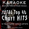 Backing Tracks Minus Vocals - Bounce [in the style of] Bon Jovi (Professional Karaoke Backing Track)