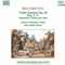 Violin Sonata No. 7 in C minor, Op. 30, No. 2 : I. Allegro con brio artwork