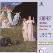 Schubert: Impromptus, Moments Musicaux & Klavierstücke artwork