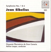 Slovak Philharmonic Orchestra and Adrian Leaper - Sibelius: Symphony No. 6 in D Minor, Op. 104: I. Allegro molto moderato