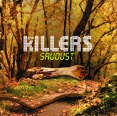 The Killers - Shadowplay