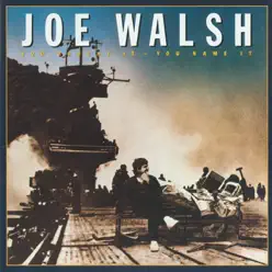 You Bought It - You Name It - Joe Walsh