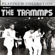 Disco Inferno (Re-Recorded) - The Trampps