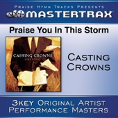 Praise You In the Storm (Performance Tracks) - EP artwork