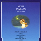 Night Ragas, Vol. 4 artwork