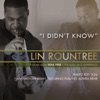 I Didn't Know [Nate Harasim Remix] (feat. Althea Rene´) - Single