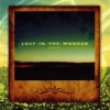 Lost In the Wonder