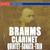 Quintet for Clarinet and String Quartet In B Minor, Op. 115: II. Adagio artwork
