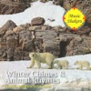 Winter Chimes & Animal Rhymes