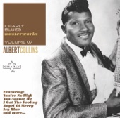 Black Cat Bone by Albert Collins