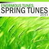 Spring Tunes 2011, 2011