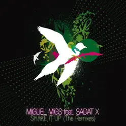 Shake It Up (The Remixes) [feat. Sadat X] - Miguel Migs
