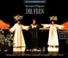 Die Feen (The Fairies), Act I: Wie Muss Ich Doch Beklagen (Ada) song lyrics