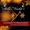 Stille Nacht - Besinnliche Weihnachtslieder mit Chören und Orchestern, 2009