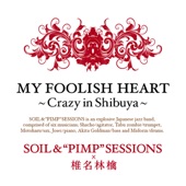 MY FOOLISH HEART~Crazy in Shibuya~ artwork