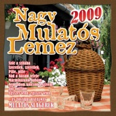 Nagy Mulatós Lemez 2009 artwork