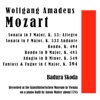 Sonata in F Major, K. 53: Allegro Sonata in F Major, K. 533 Andante Rondo, K. 494 Rondo in D Major, K. 485 Adagio in B Minor, K. 549 Fantasy & Fugue in C Major, K. 394