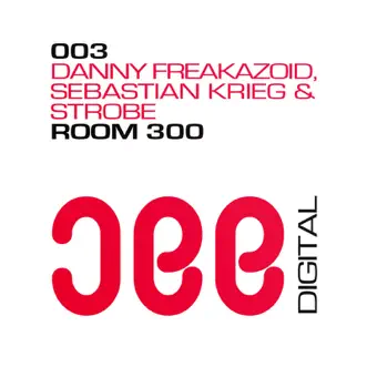 Room 300 by Sebastian Krieg, Strobe & Danny Freakazoid song reviws