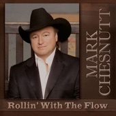 Rollin' With the Flow artwork
